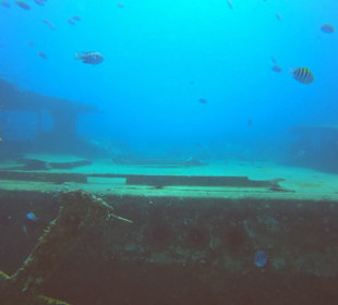 Atlantik Princes Wrack Bayahibe