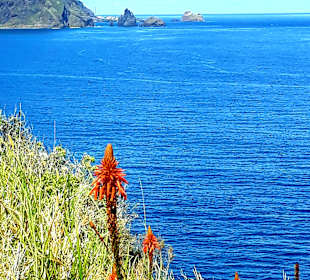 Entlang der Nordküste