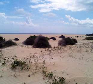Parque Natural de las Dunas de Corralejo