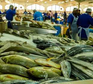 Fischmarkt