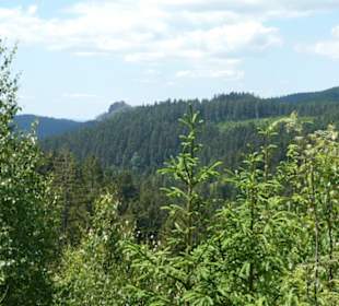 Unterwegs im Thüringer Wald bei Oberhof