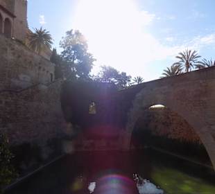 Der Teich Außenbereich