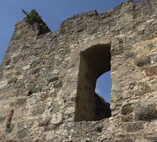 Burgruine Niederhaus