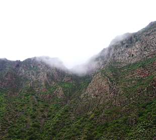 Ausflug in die Berge, Guayadeque