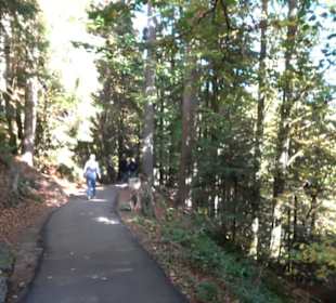 Natur-Hochseilgarten Triberg