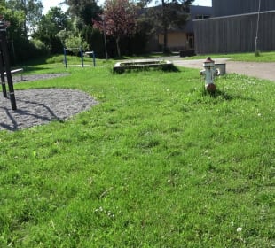 Neue Städtische Sporthalle