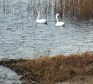 Nationalpark Wolin