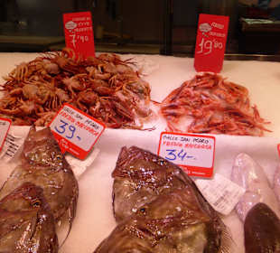Markthalle de l'Olivar: Fisch, Shrimps, Krabben