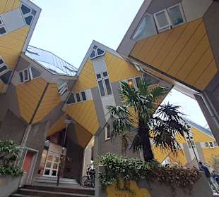 Kubushäuser in Rotterdam