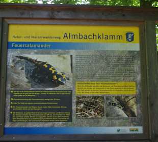 Eingang Almbachklamm