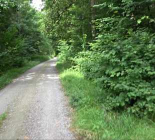 Sonnenaufgangs-Rundwanderung Rübgarten