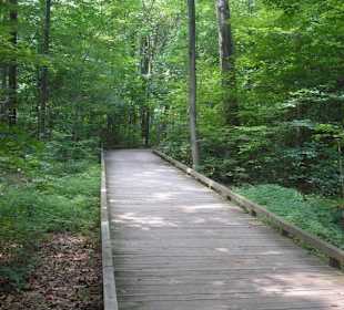 Boardwalk Preserve Trail