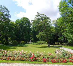 Panorama od strony drzwi wejściowych