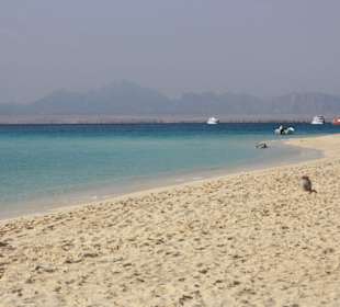 Schnorcheln Giftun Insel