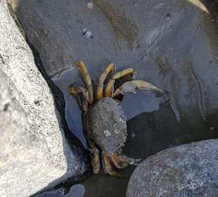 Strandpromenade Cuxhaven