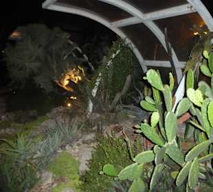 Ogród na dachu terminala