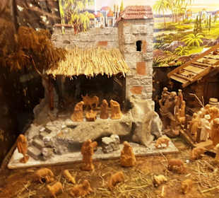 Grippenausstellung versch. Leihgaben