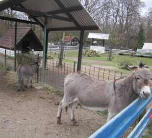 Tierpark Bad Schönborn