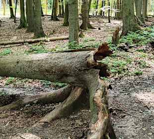 Nationalpark Jasmund 