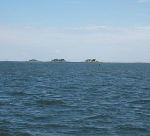 Hallig Langeneß von See die Südseite !