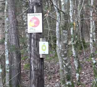 Wanderung rund um den Ochsenweiher
