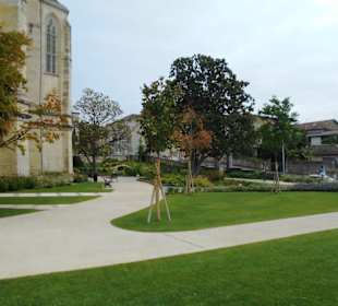 Jérôme Cuzin Centre