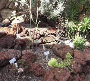 Botanischer Garten der Universität Zürich