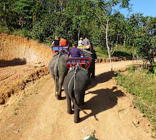1 Stunde Elefantenritt