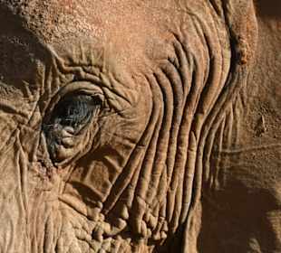 Big Brother is watching you