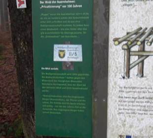 Wasser & Klang Pfad in Auernheim