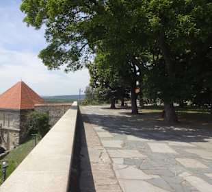 Burg Bratislava