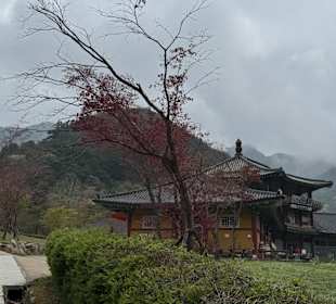 Gayasan-Nationalpark