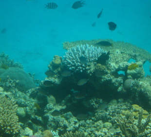 Ausflug halbes U-Boot