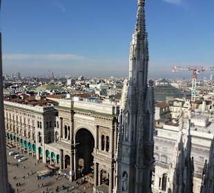 Widok z dachu Katedry