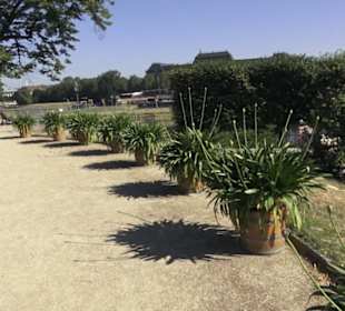 Altstadt - Rund um das Terrassenufer