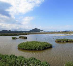 Blick von der Vogelbeobachtungshütte