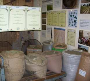 Gewürze und Kräuter