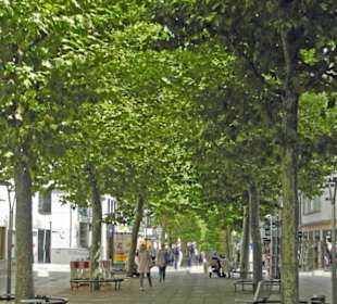 Viel grün in der Königstraße