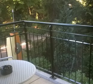 unser Ausblick vom Balkon - herrlich  Waldhotel Tannenhäuschen