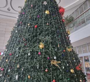 Weihnachtsbaum