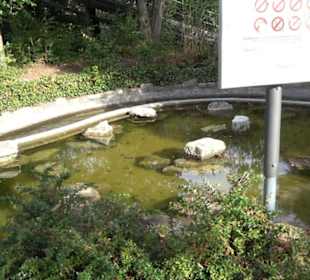 Erlebnispark Tripsdrill