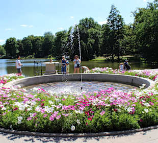 Łazienki królewskie, park