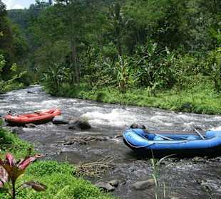 Rafting