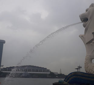 Merlion MBS