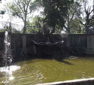 Altstadt - Rund um das Terrassenufer