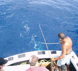 Jetzt haben wir ihn!