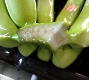 Die Schnittstelle der Banane