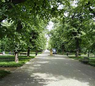Park