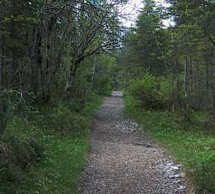 Wanderweg