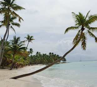 Saona: das begehrteste Fotomotiv der Insel